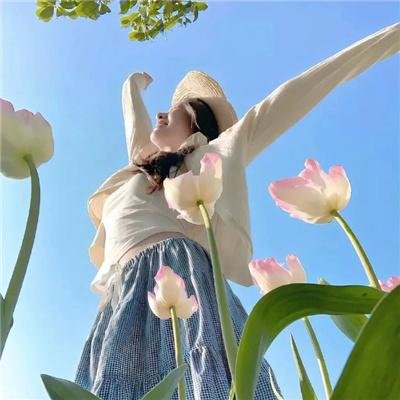 公园男孩：脏话网