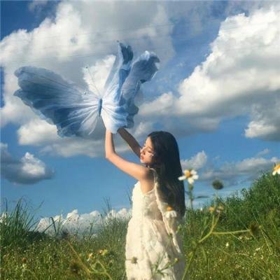 总统与奶牛